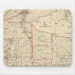 Map of Wisconsin, showing assembly districts Mouse Pad