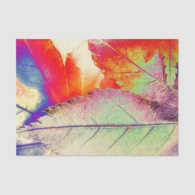 Maple Abstract Tissue Paper (Front)