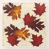 Maple and Oak Foliage Leaves Autumn Colours