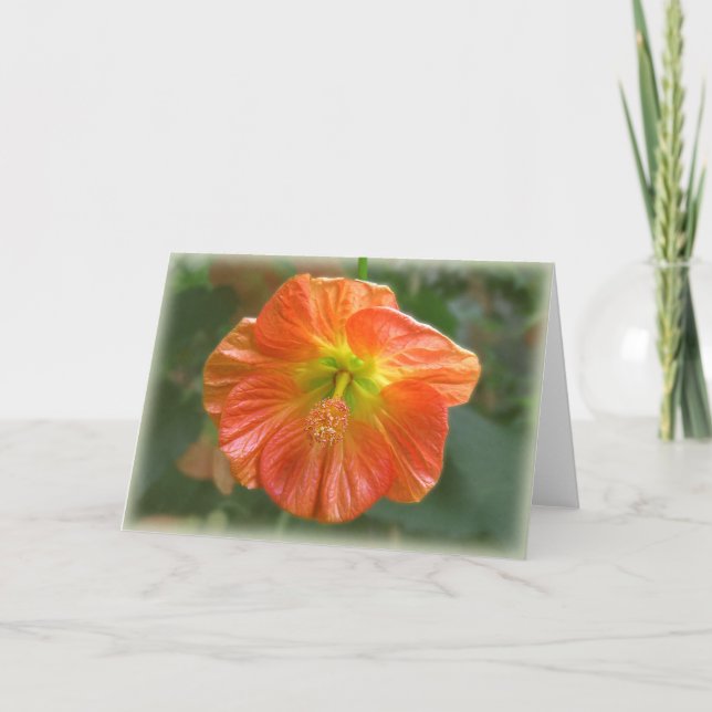 Maple Bloom Card (Front)