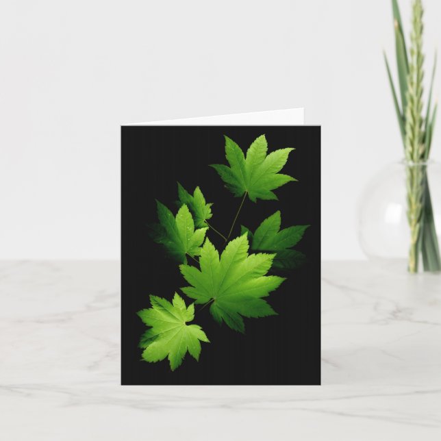 Maple branch 1 card (Front)