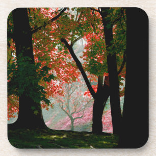 Maple Coaster