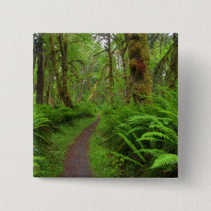 Maple Glade trail, ferns and moss covered 15 Cm Square Badge