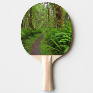 Maple Glade trail, ferns and moss covered Ping Pong Paddle