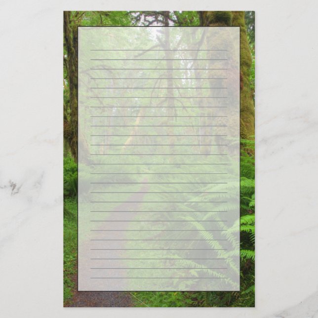 Maple Glade trail, ferns and moss covered Stationery (Front)