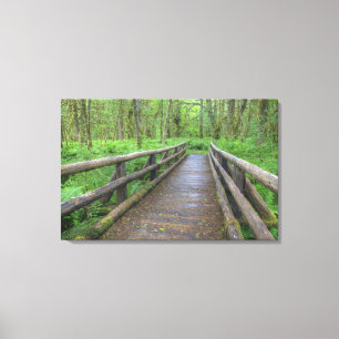 Maple Glade trail wooden bridge, ferns and Canvas Print