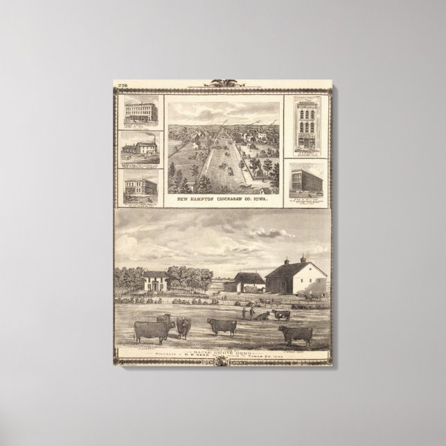 Maple Grove Herd, Cedar Co New Hampton Canvas Print (Front)