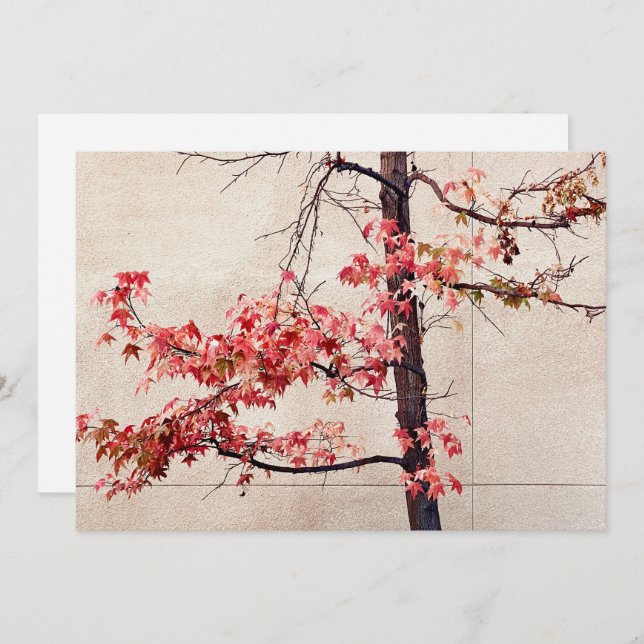 Maple Holiday Card (Front/Back)