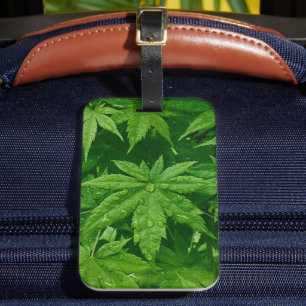Maple in Spring Luggage Tag