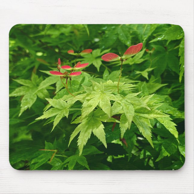 Maple in Spring Mouse Pad (Front)
