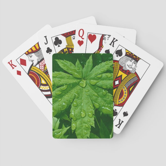 Maple in Spring Playing Cards (Back)