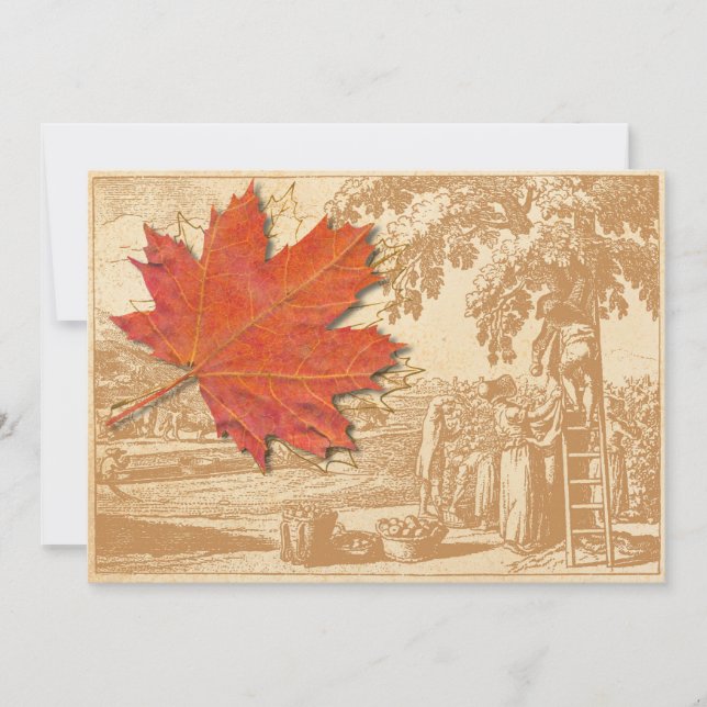 Maple Leaf and Old Harvest Engraving Invitation (Front)