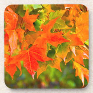 Maple Leaf Dance Coaster