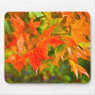 Maple Leaf Dance Mouse Pad