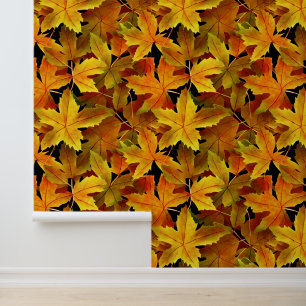 Maple leaf fall Canada autumn tree pattern  Wallpaper