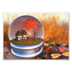 Maple Leaf Globe Photo Print