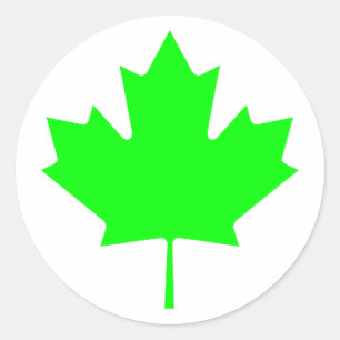 Maple Leaf Green LtTransp The MUSEUM Zazzle Gifts Classic Round Sticker