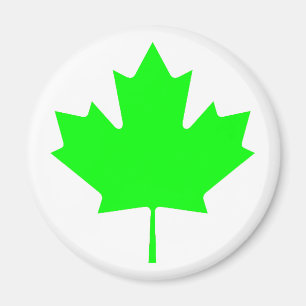 Maple Leaf Green LtTransp The MUSEUM Zazzle Gifts Magnet