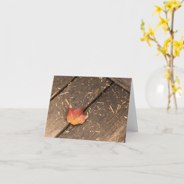 maple leaf minimalist fall photograph card (Yellow Flower)