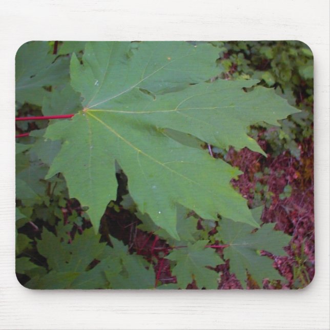 Maple Leaf Mouse Pad (Front)