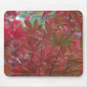 Maple Leaf Mousepad
