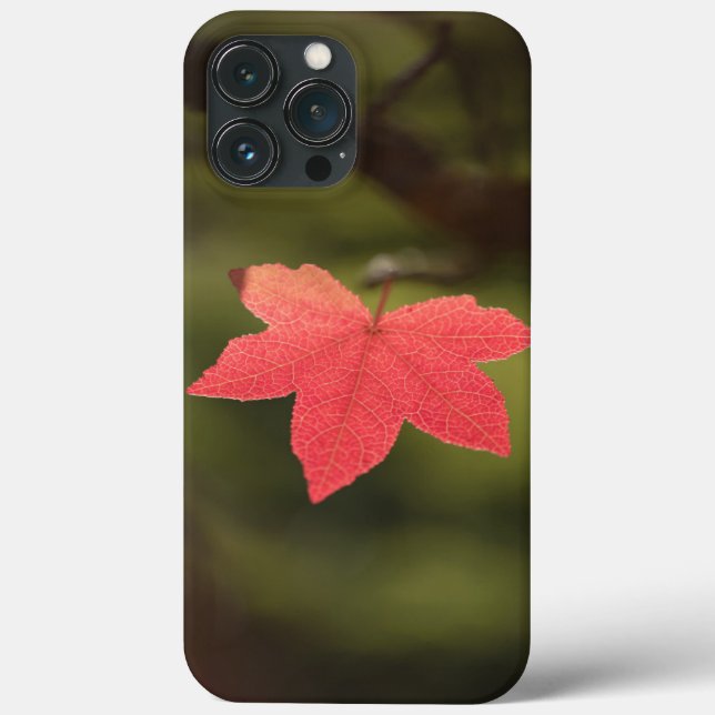 Maple Leaf Nature Photo Case-Mate iPhone Case (Back)
