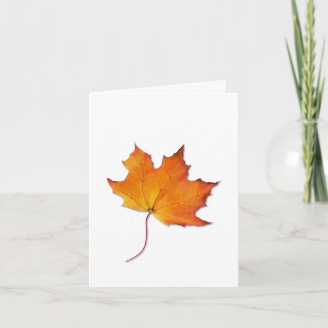 Maple Leaf Note Card (Front)