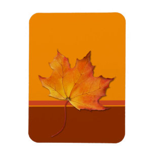 Maple Leaf orange Flexi Magnet