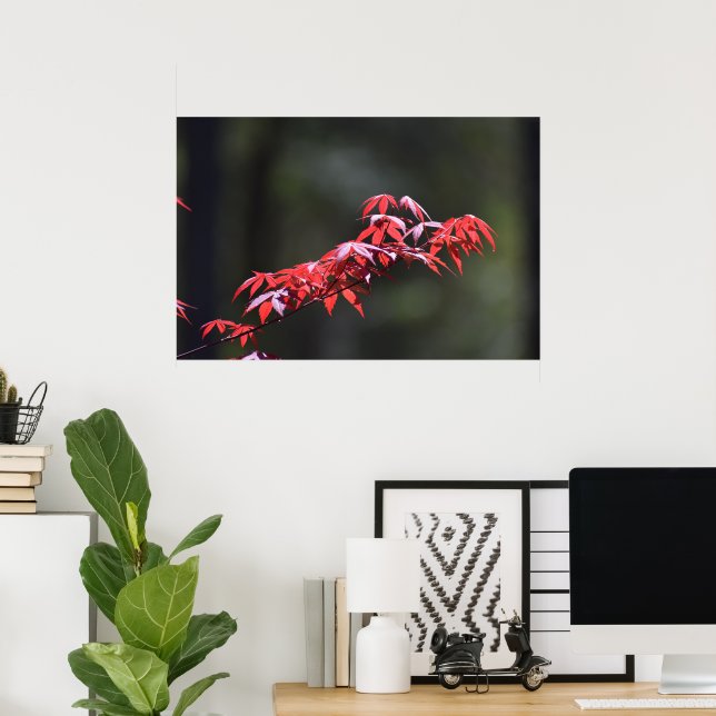 Maple Leaf,  Poster (Home Office)