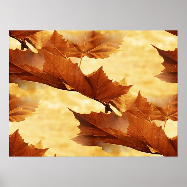 Maple leaf Poster (Front)