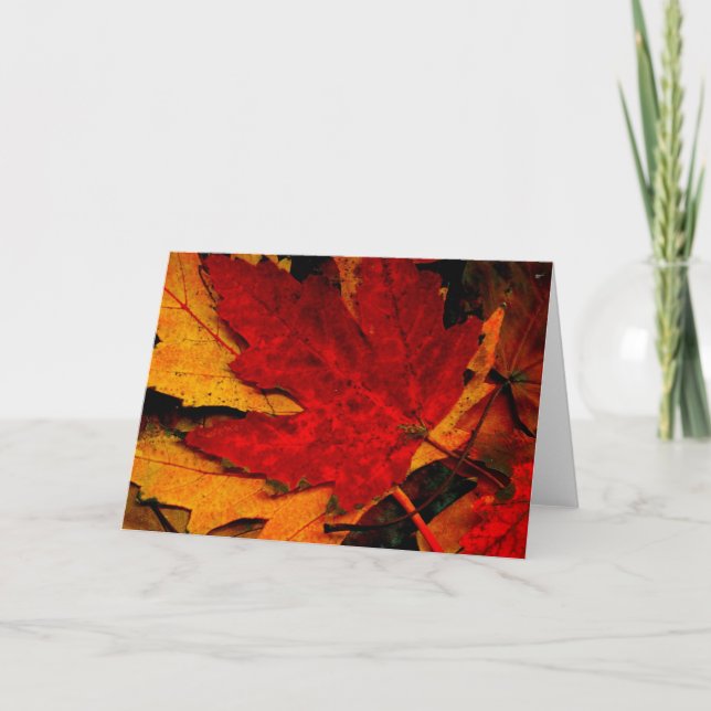 MAPLE LEAF RAG CARD (Front)