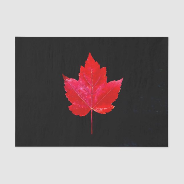 Maple Leaf Red Black Autumn Country Tissue Paper (Front)