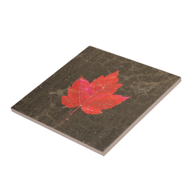 Maple Leaf Red Brown Autumn Country Texture Tile (Side)