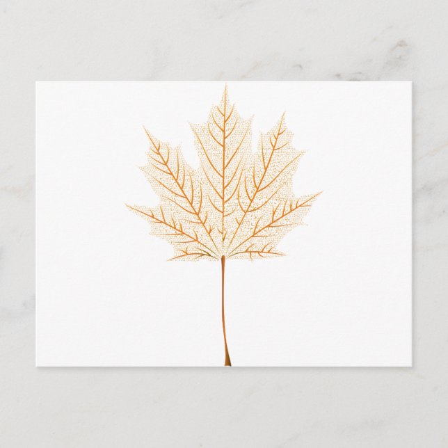 Maple leaf skeleton postcard (Front)