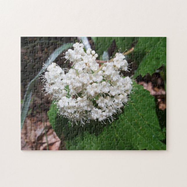 Maple Leaf Viburnum Jigsaw Puzzle (Horizontal)