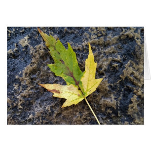 Maple Leaf , white envelopes included