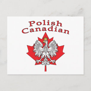 Maple Leaf With Polish Canadian Postcard
