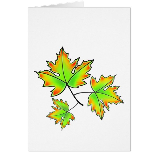 Maple Leaves (Front)