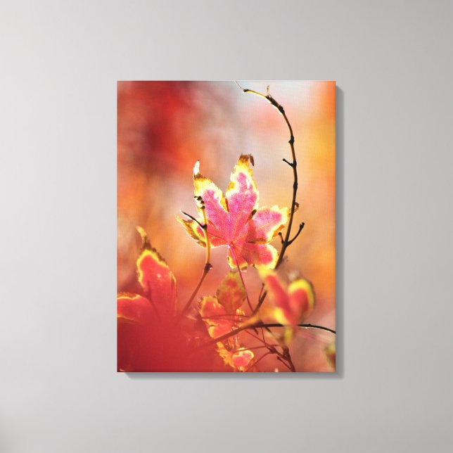 Maple Leaves Canvas Print (Front)