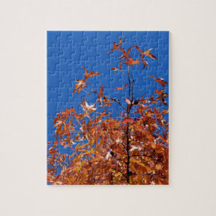 Maple Leaves Jigsaw Puzzle