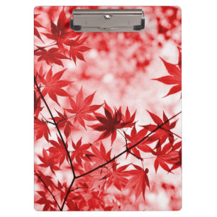 Maple Leaves Landscape Design-21355 Clipboard