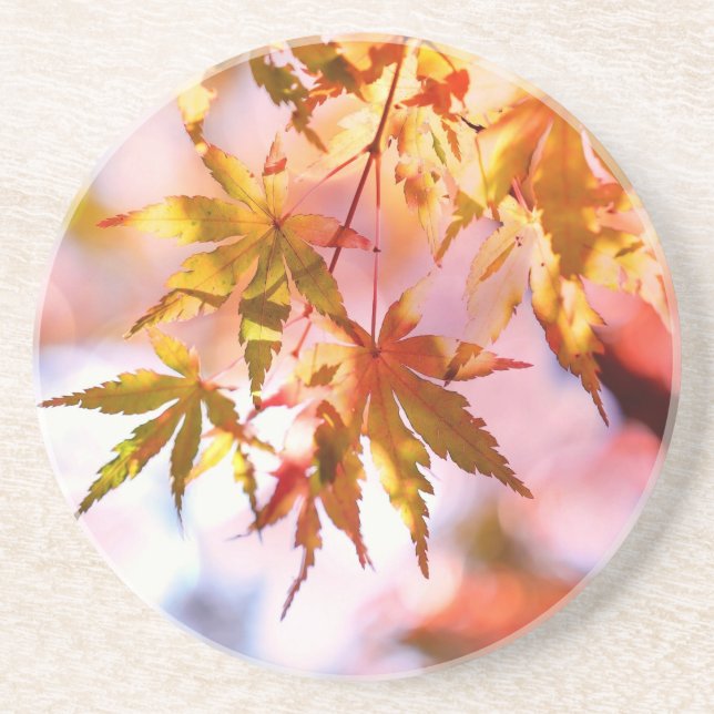 Maple Leaves Landscape Design-21355 Coaster (Front)