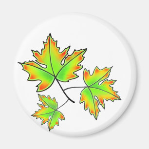 Maple Leaves Magnet