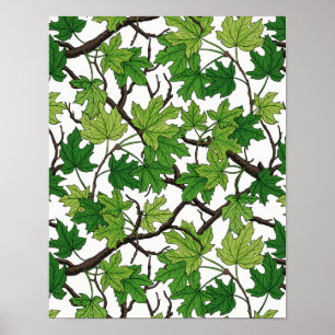Maple leaves on white poster