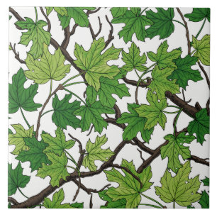 Maple leaves on white tile