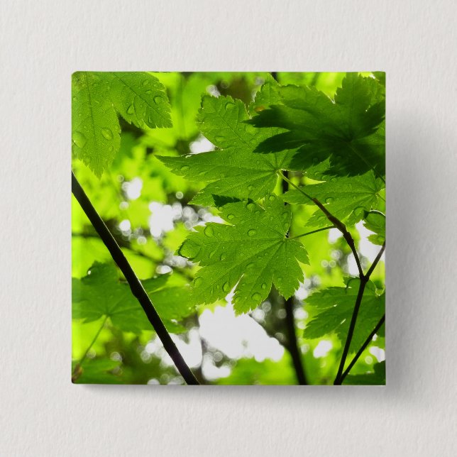 Maple Leaves with Raindrops 15 Cm Square Badge (Front)