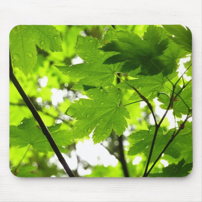 Maple Leaves with Raindrops Mouse Pad (Front)
