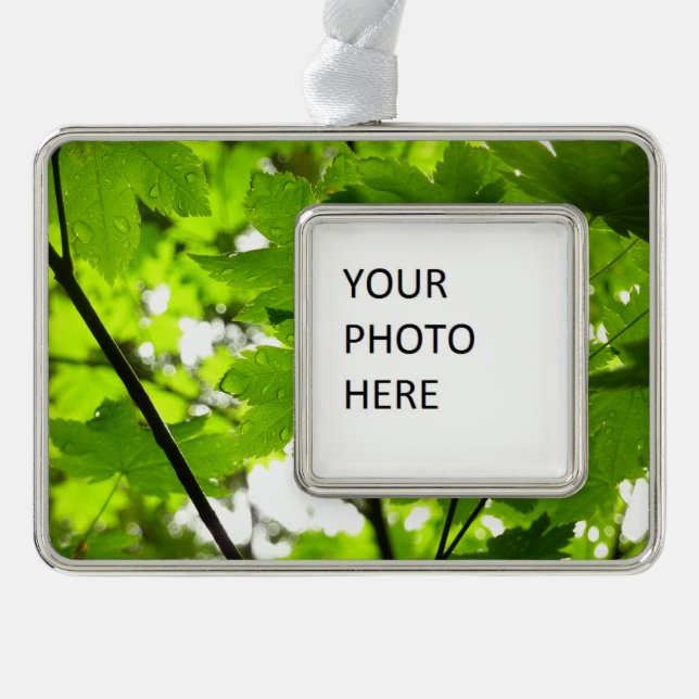 Maple Leaves with Raindrops Silver Plated Framed Ornament (Front)