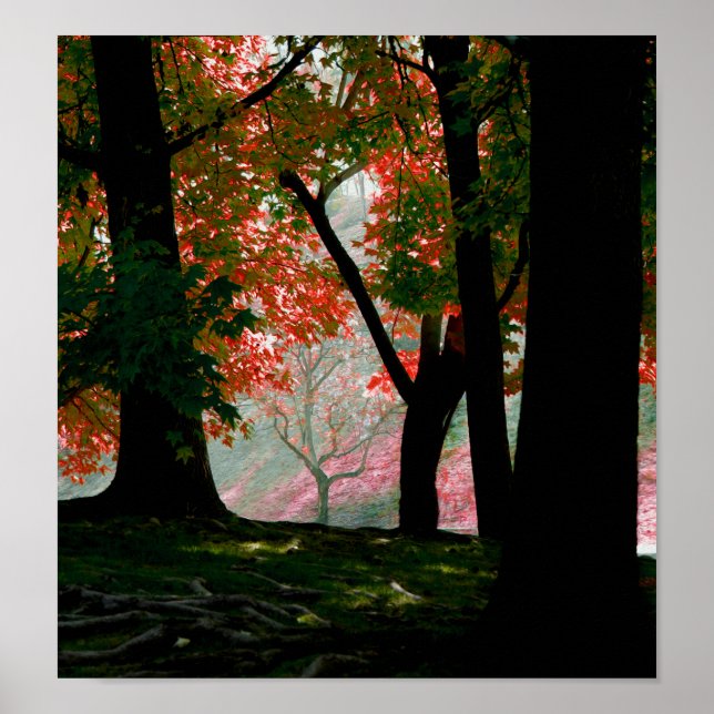 Maple Poster (Front)