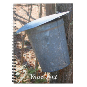 Maple Sugar Sap Bucket On Tree Nature   Notebook